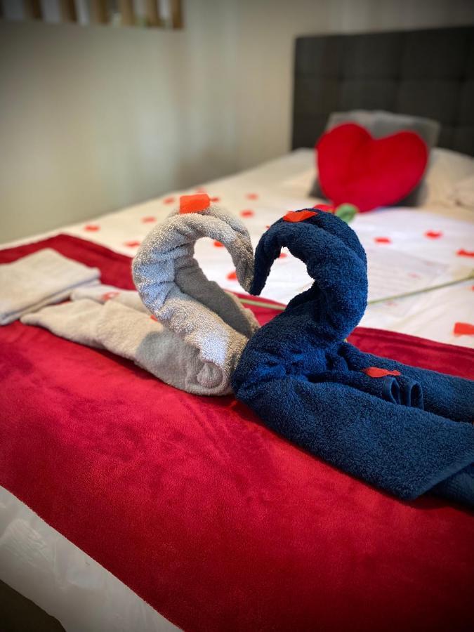Loft Romantique Avec Jacuzzi Saint-Etienne (Loire)