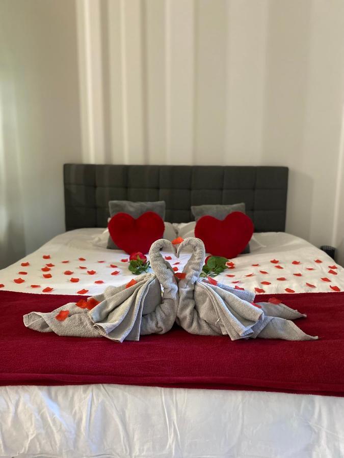 Appartement Loft Romantique Avec Jacuzzi