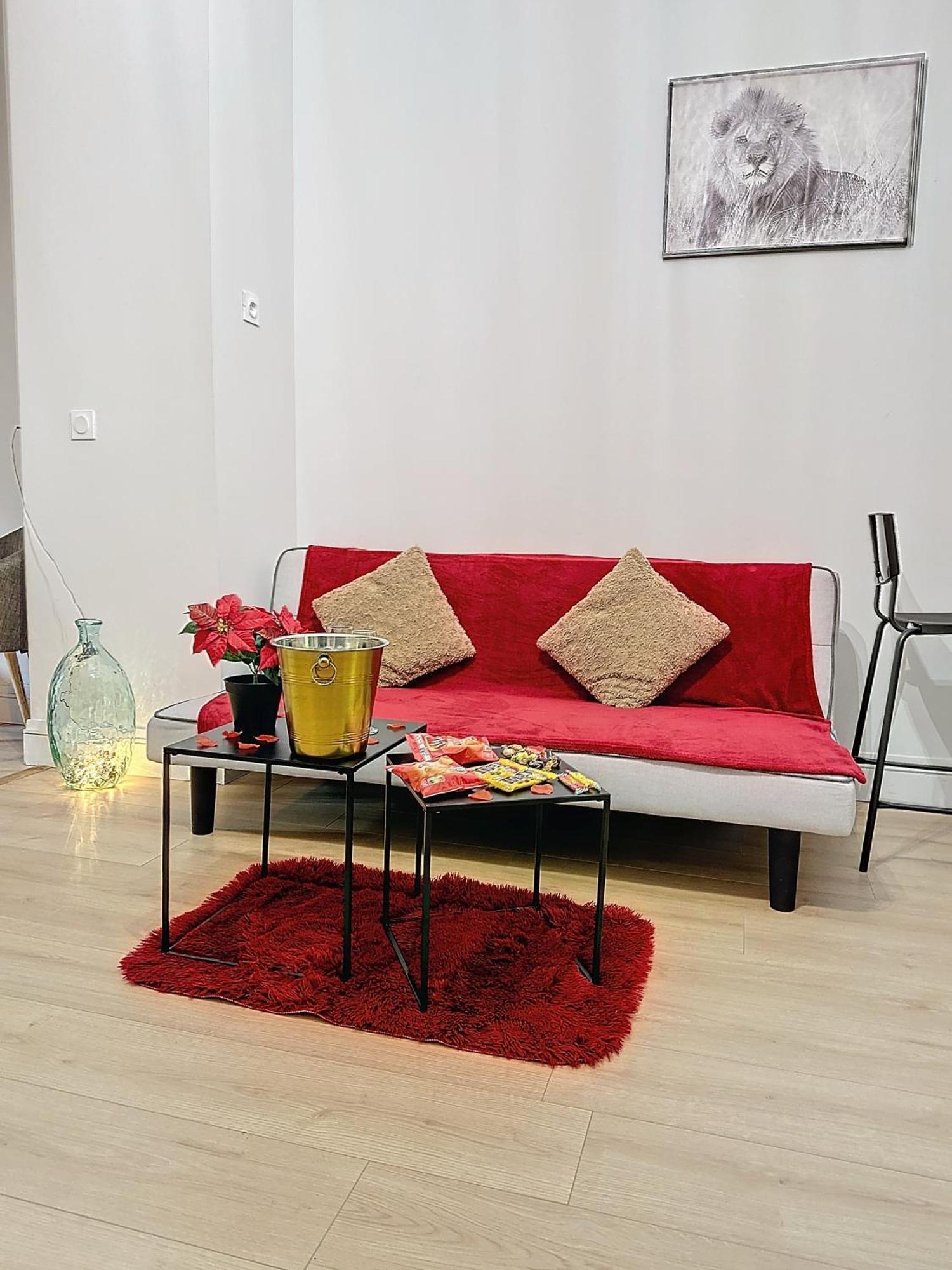 Appartement Loft Romantique Avec Jacuzzi *